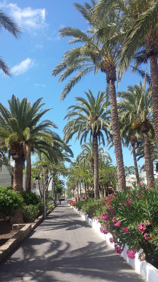 Simple Apartment Frontera Primavera Pool In South Tenerife กอสตา เดล ซิเลนซิโอ ภายนอก รูปภาพ